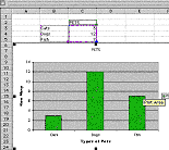 screen shot of spreadsheet graph showing survey of classroom pets