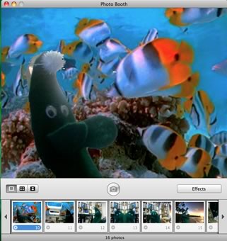 screen shot of photobooth app with green puppet over background of swimming fish