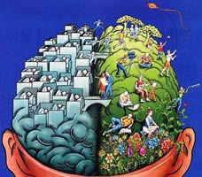 graphic of brain's hemispheres